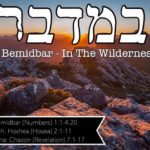 1. BeMidbar במדבר 150x150 - Welcome to my "set apart" blog & more.