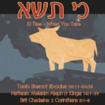 9. Ki Tissa כי תשא 150x150 - Welcome to my "set apart" blog & more.