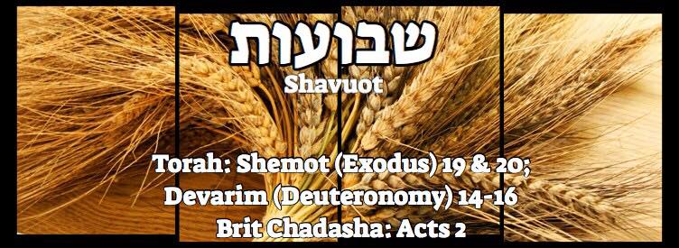 Shavuot שבועות - Welcome to my "set apart" blog & more.